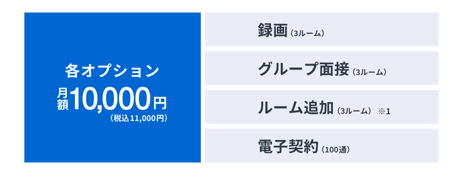 WEB面接ツールSOKUMENのオプション料金 WEB面接ツールSOKUMENのオプション料金